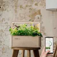 Berlin Greenbox Pilzzucht 30€ Rabatt