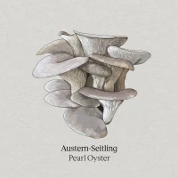 Austernseitlinge Pilzzuchtset